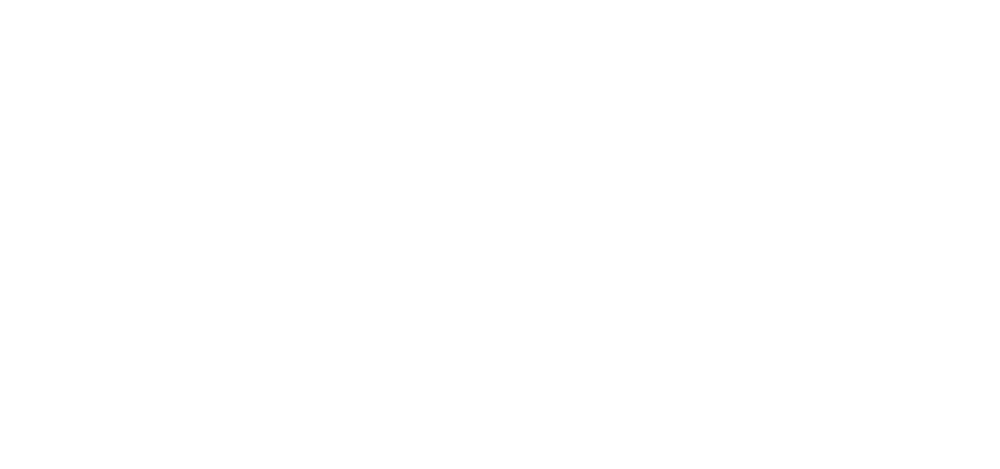 logo Ambiances et architectures blanc