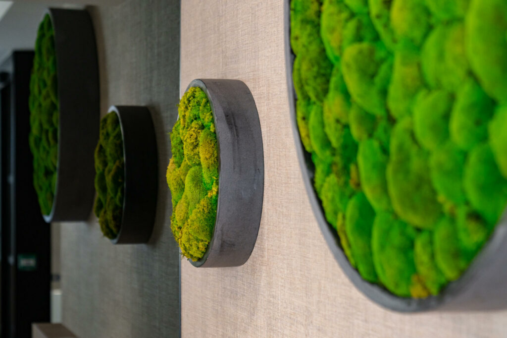 architecte d'intérieur reims - réalisation client